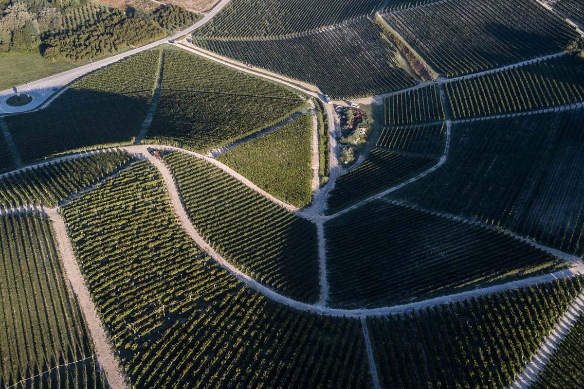 Fontanafredda tra i “Top 100 Premium Wine & Spirits Brands” del mondo